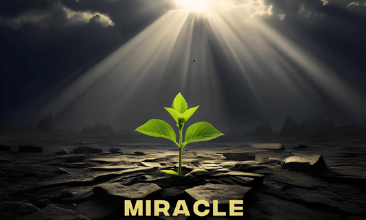 The Map, The Maze, and The Miracle